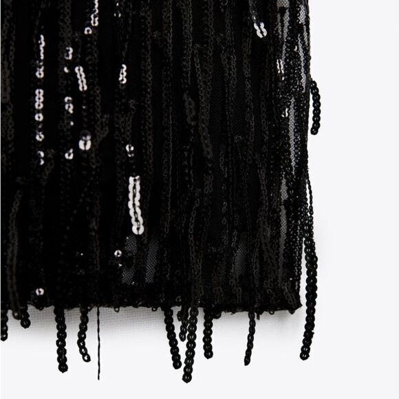 Zara Sequin Fringed Dress New - Picture 3 of 6